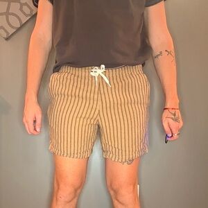 PacSun Striped Tan Men's Shorts